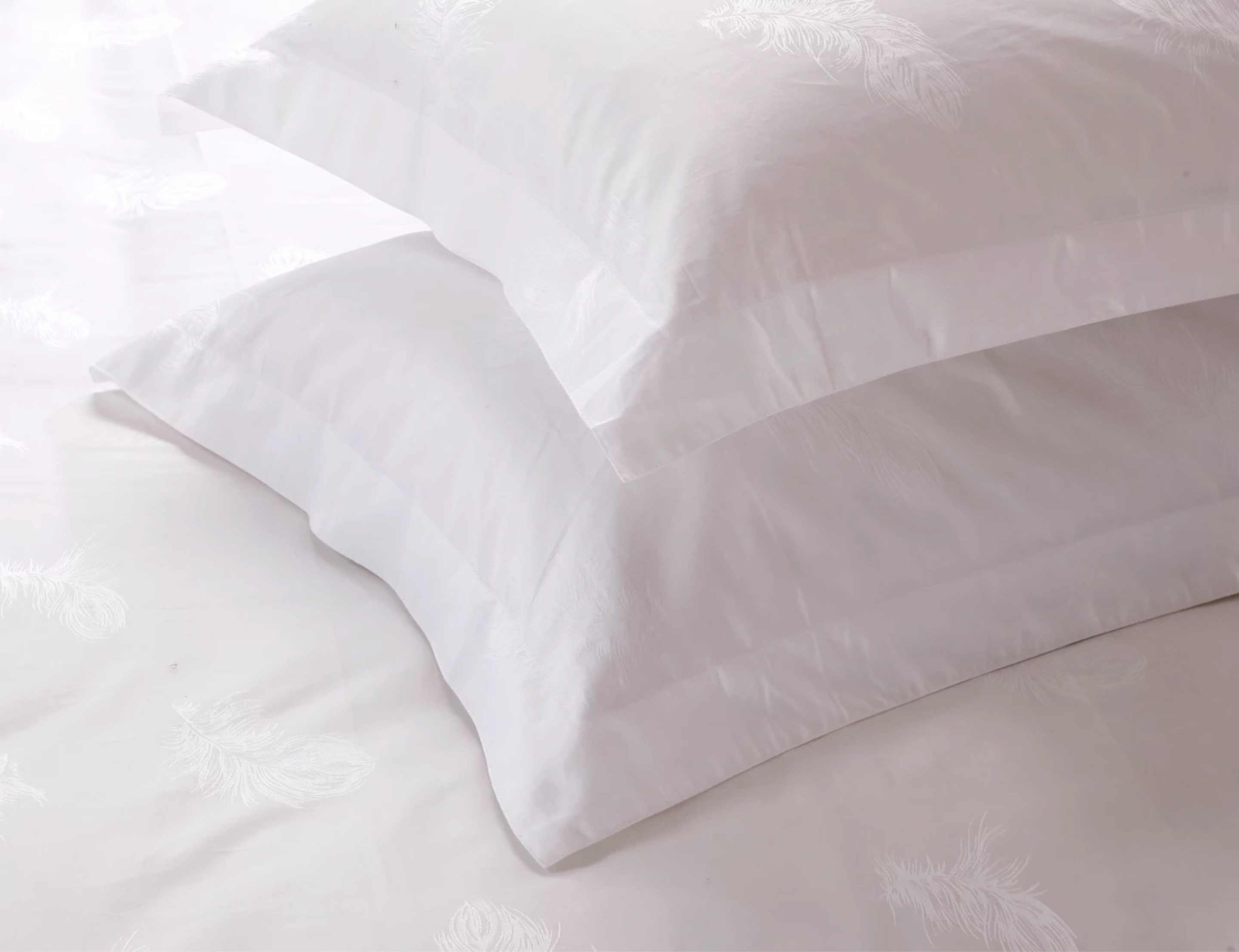 Hotel and Hotel Pillow