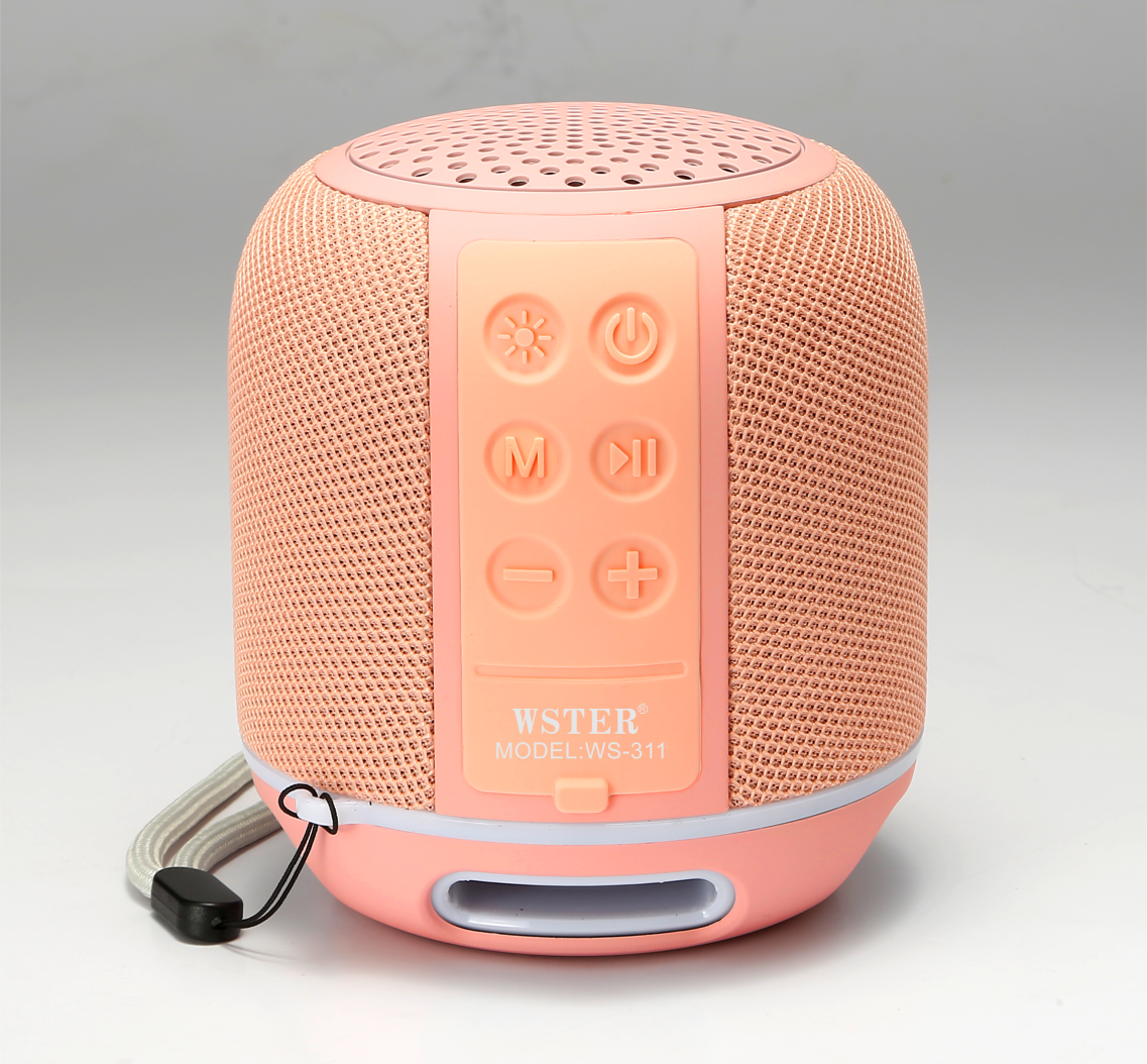 Wster Wireless Bluetooth Speaker WS-311 Bluetooth Speaker