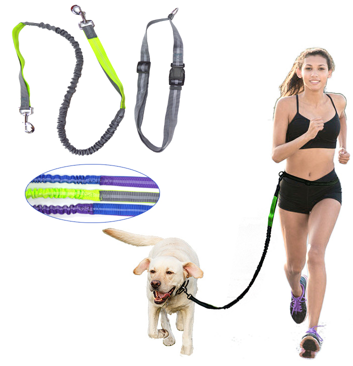 宠物用品 宠物跑步带SP75450