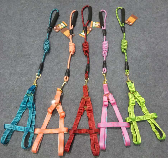 宠物用品 波浪圆绳+胸背SP75524