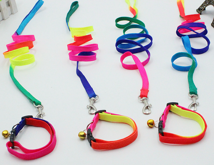 宠物用品 车线七彩带+颈圈SP75593