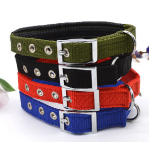 宠物用品 素色泡棉单项圈SP75469