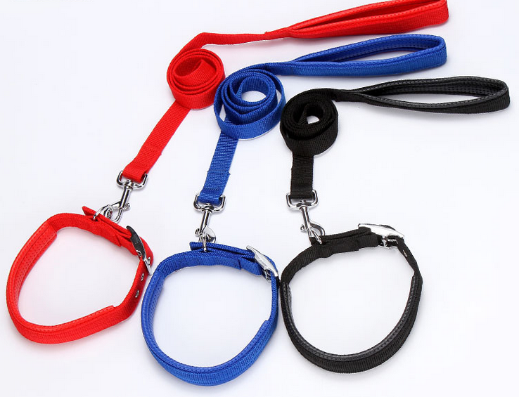 宠物用品 素色泡棉带+颈圈SP75490