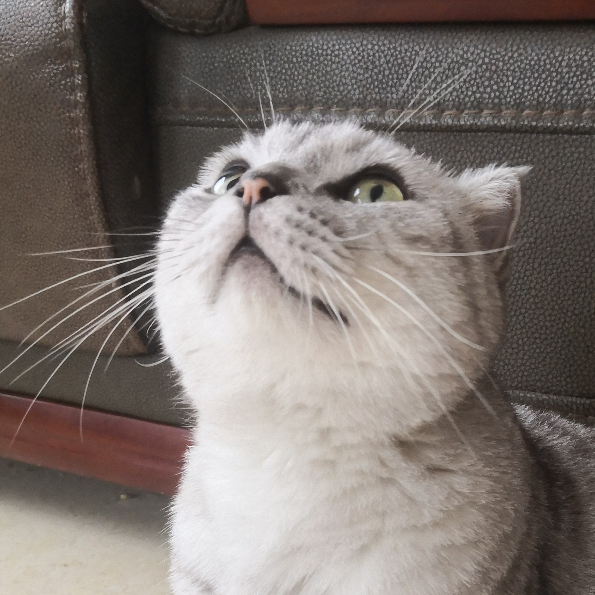 头像