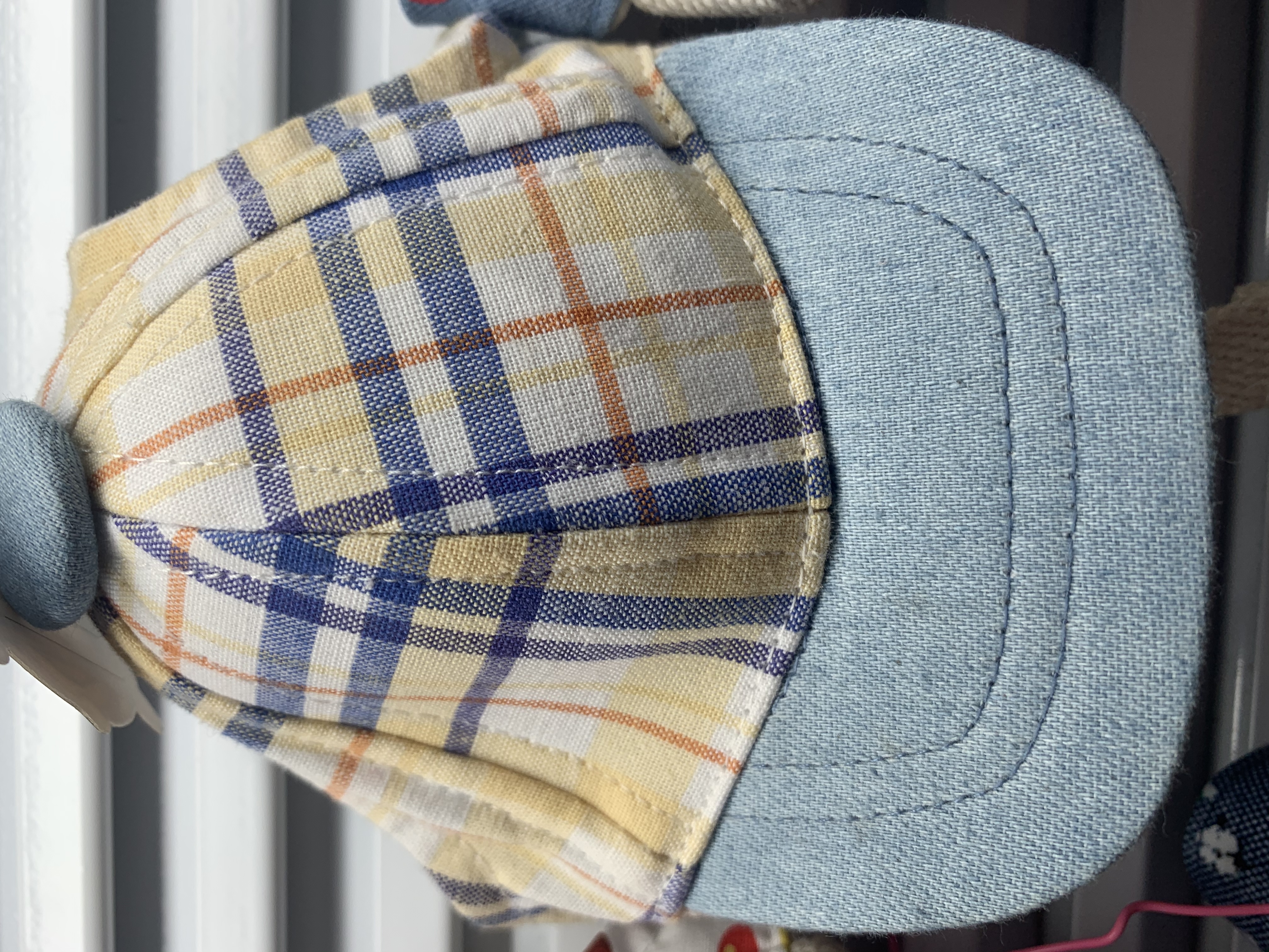 Pet hat details Picture