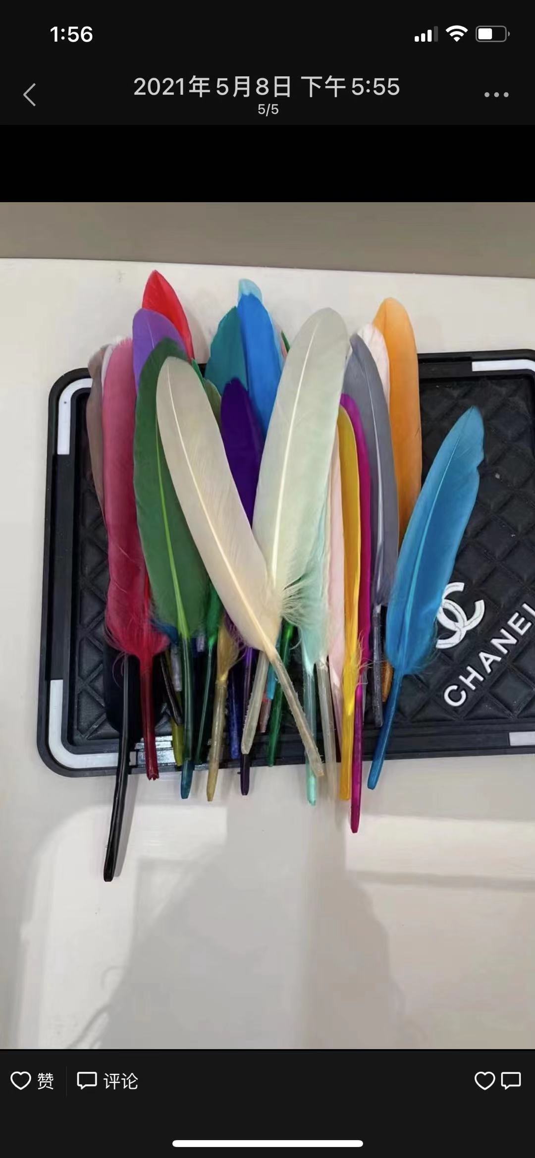羽毛细节图