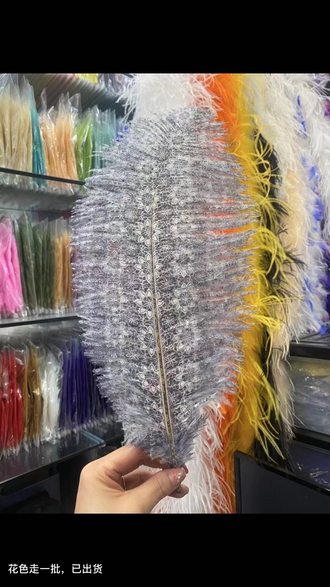 羽毛产品图