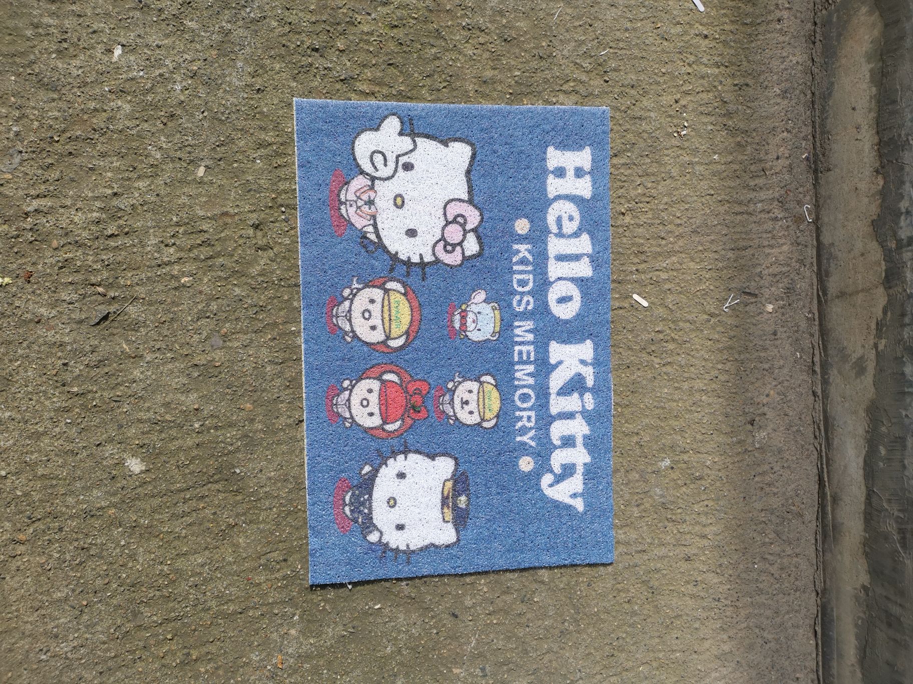 全球供应黑底喷丝印花