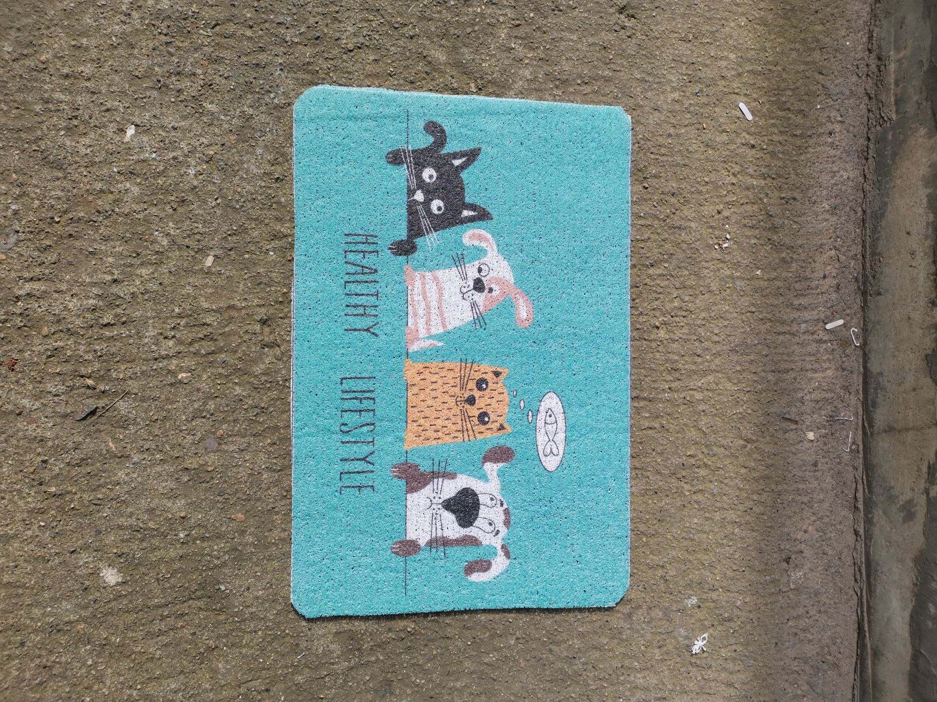 塑料地垫细节图