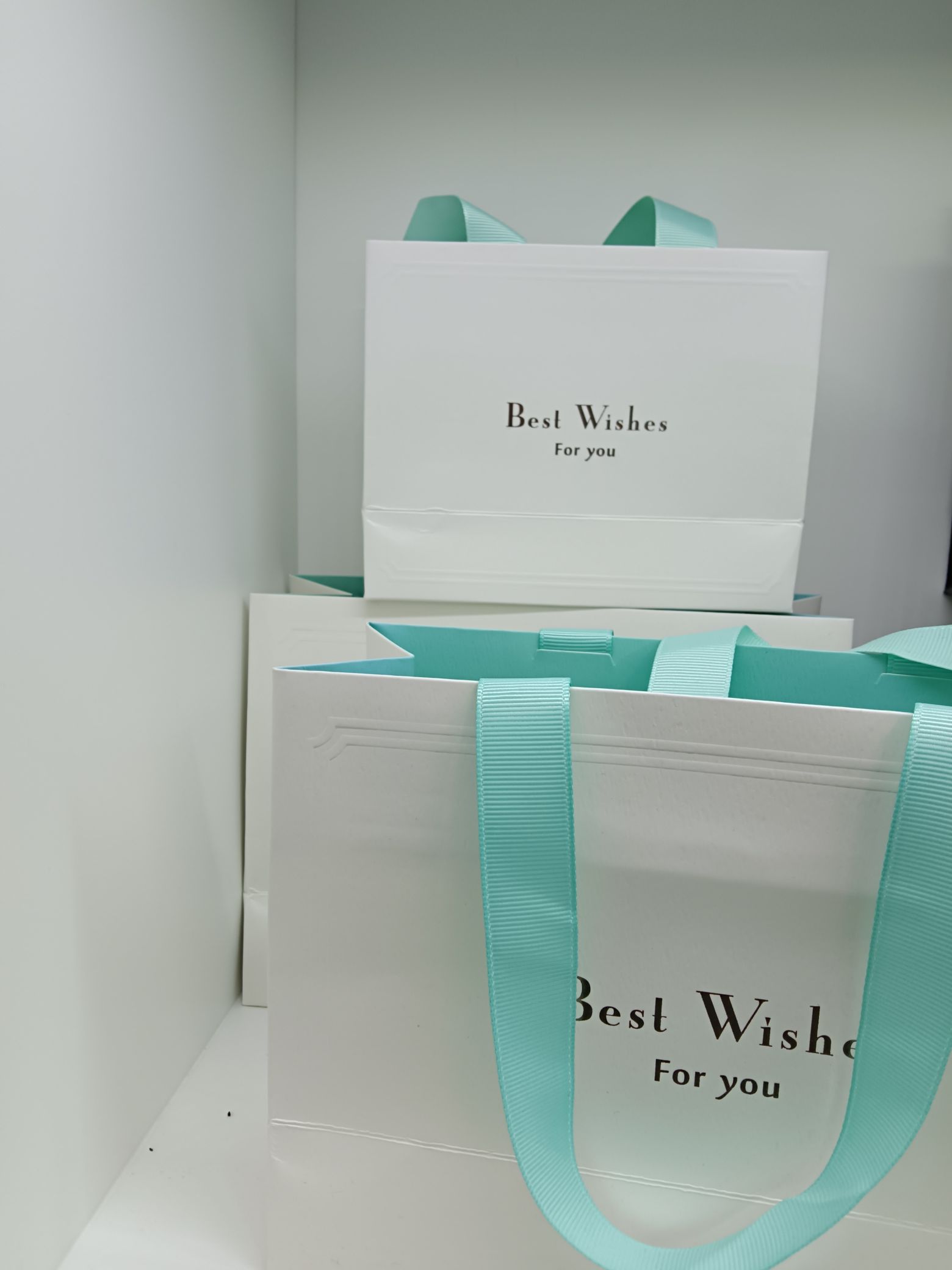 Customized special paper embossed and embossed gilding bags Application Scenario