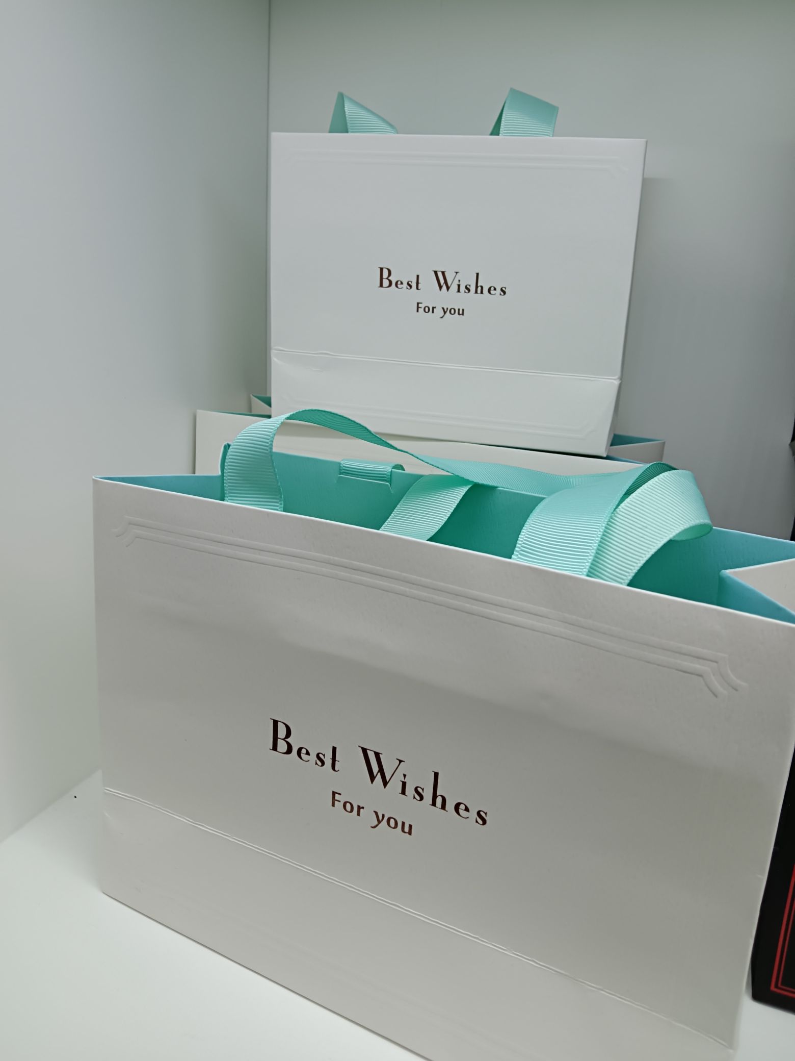 Customized special paper embossed and embossed gilding bags