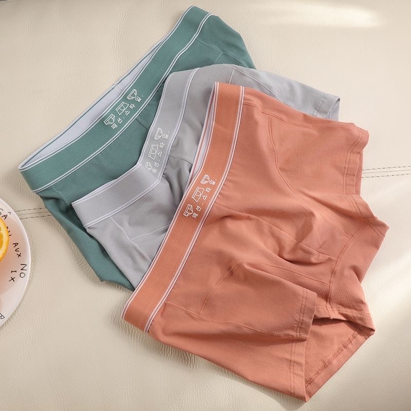 Spring Summer Men's Underpants Modal Cotton Flat Corner Mid-Waist Student Sports Short Shorts Youth Underpants Boxers full figure