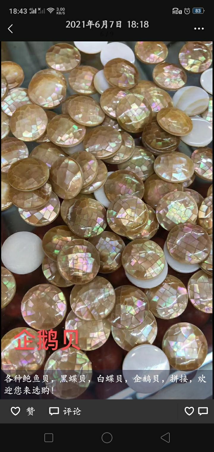 贝壳细节图