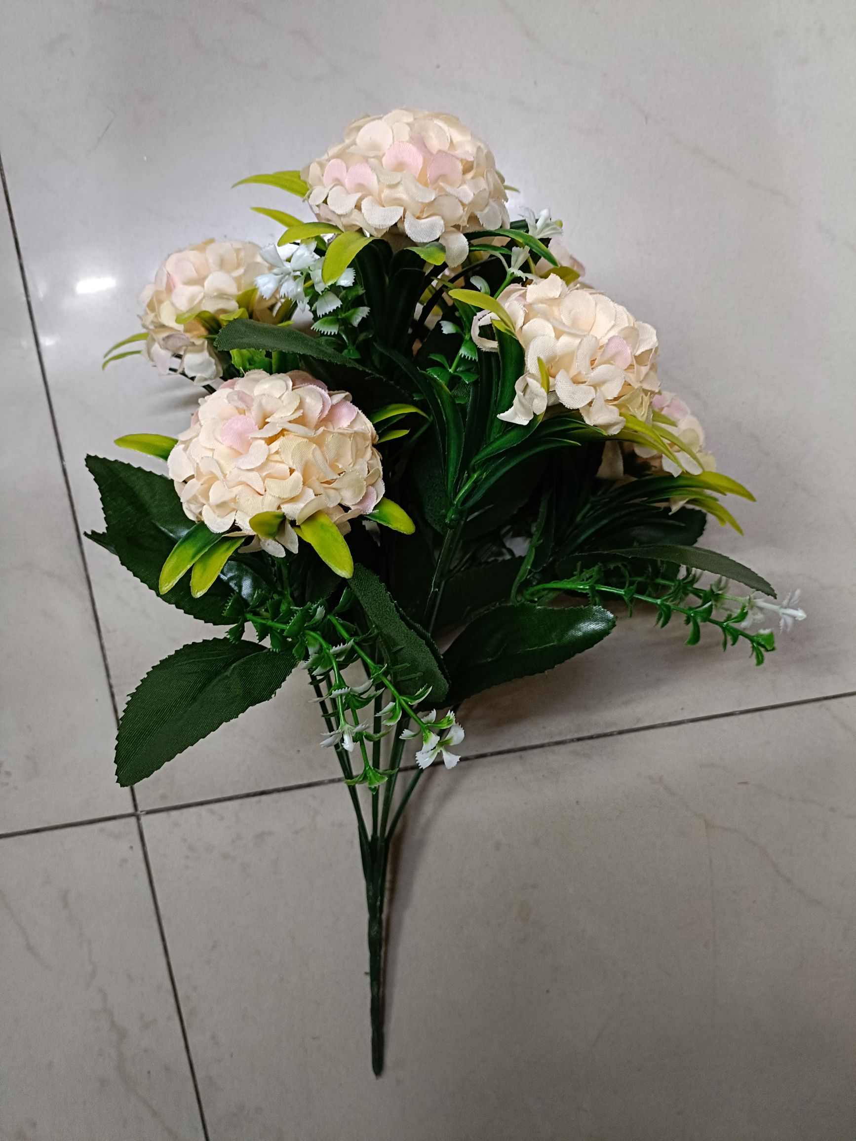 7头乒乓菊