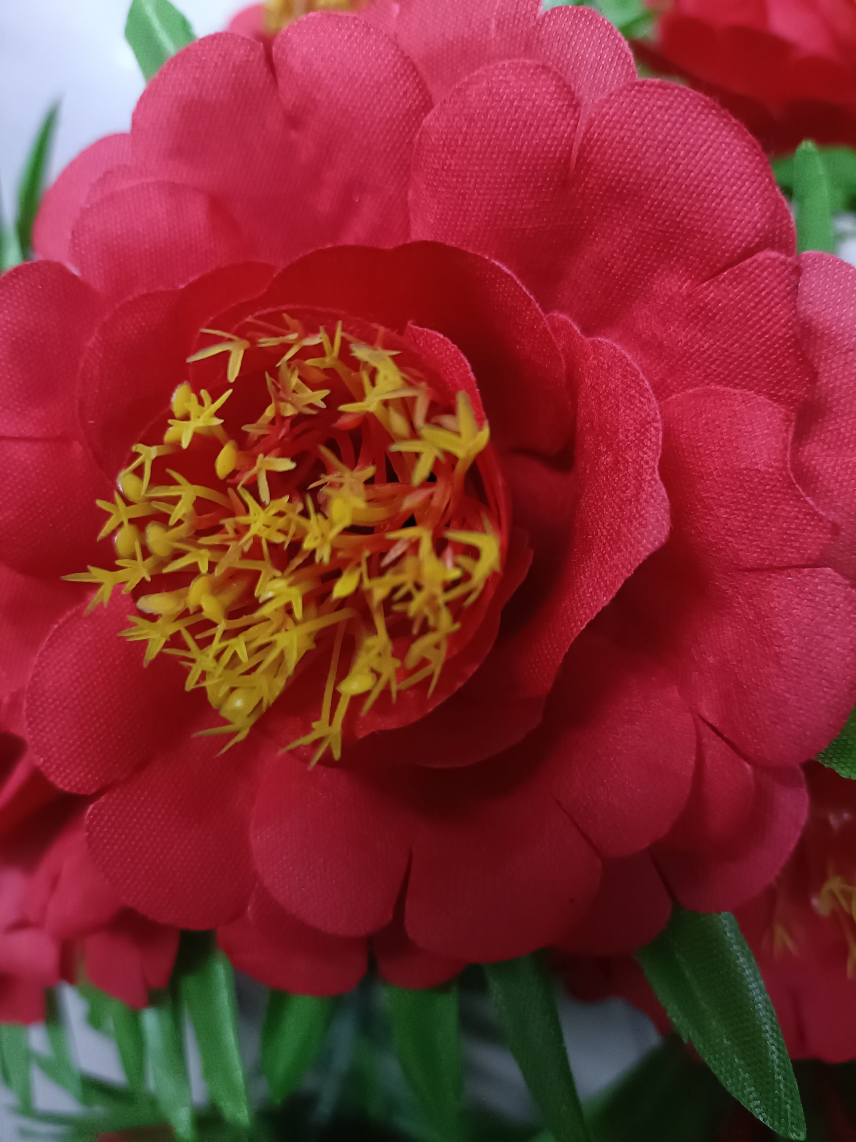 盘花细节图