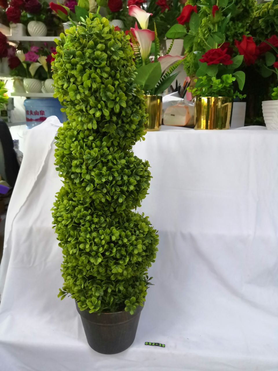 Bonsai