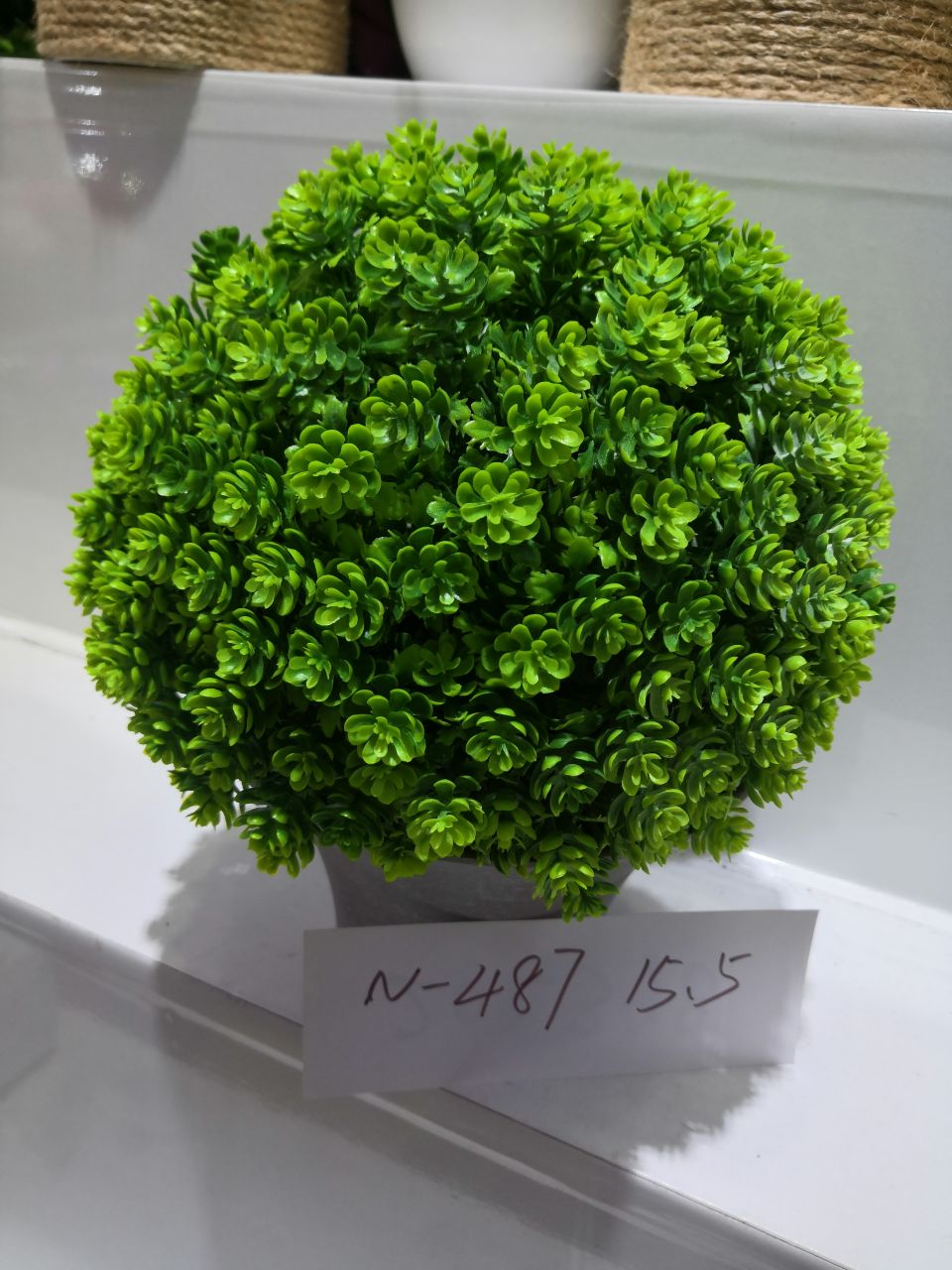 Bonsai