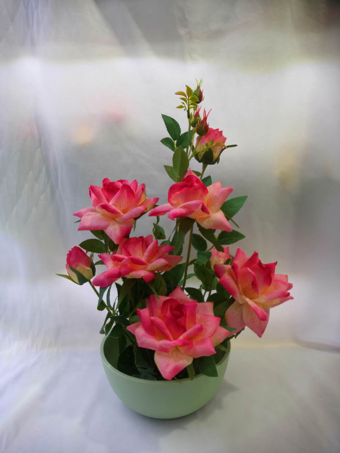 بونساي Specification image