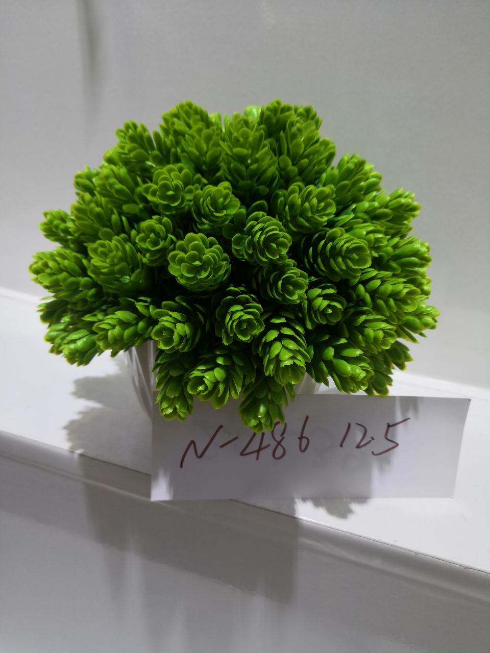 Bonsai details Picture