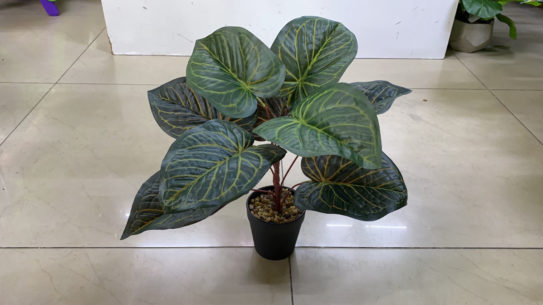 "Fresh and clean plants" Specification image