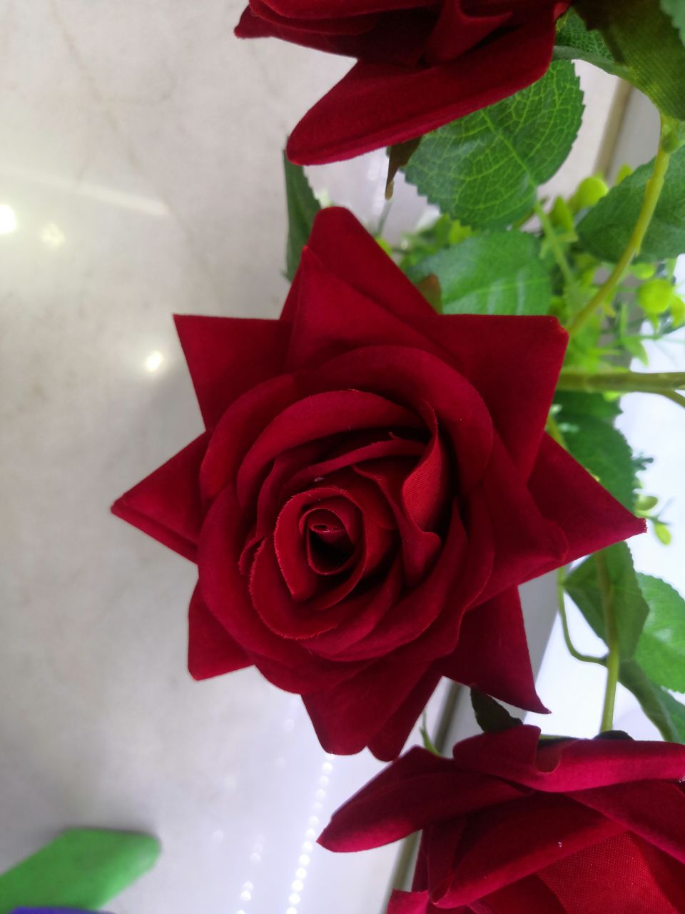 بونساي