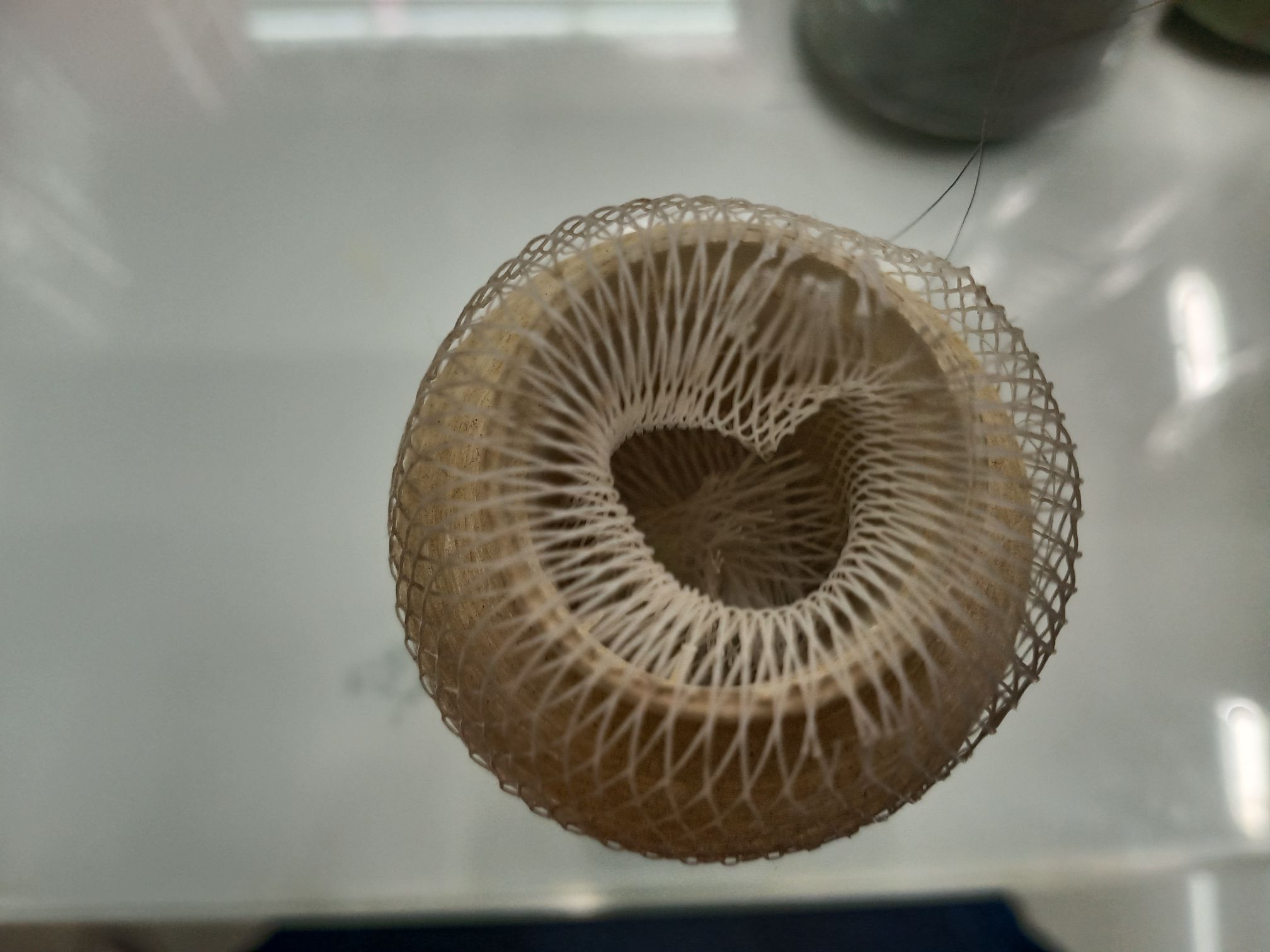 缝纫线细节图