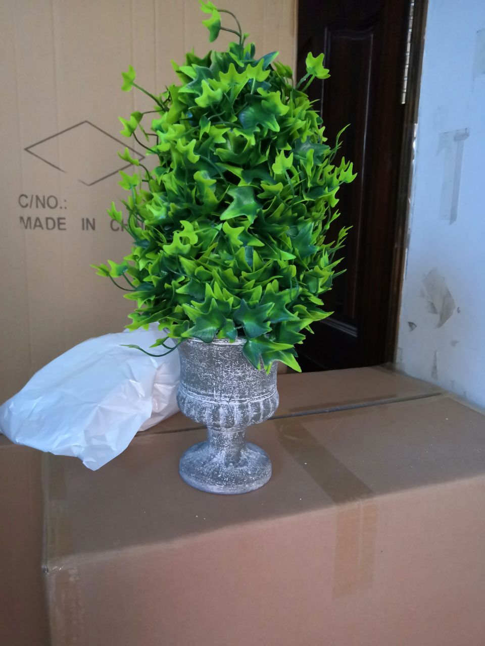 Bonsai