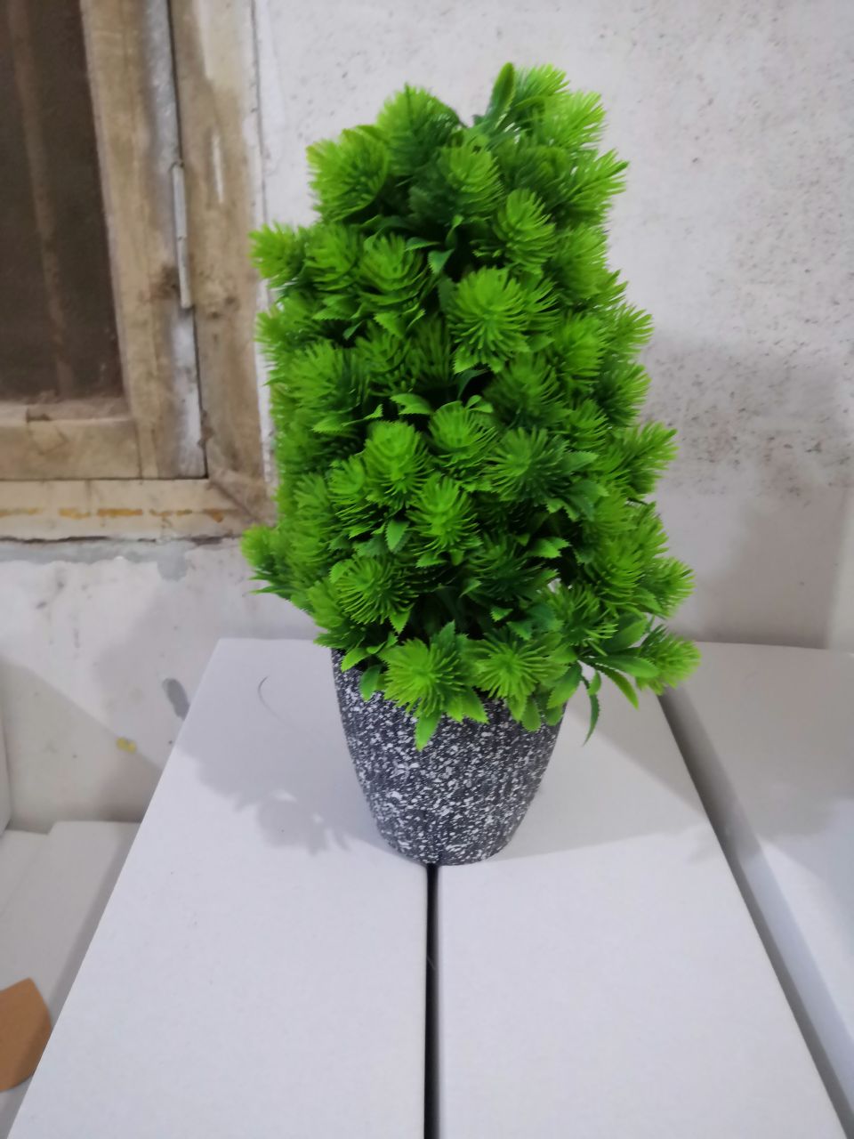 بونساي Specification image