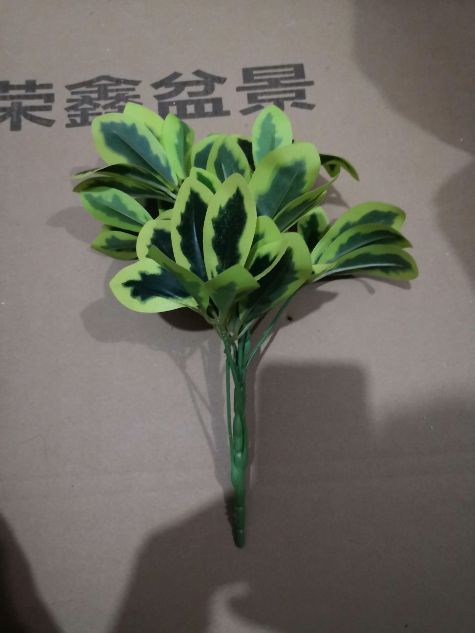 Bonsai