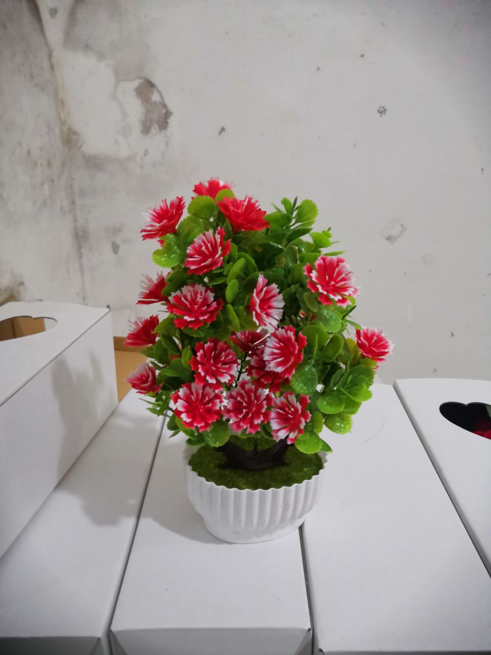 Bonsai Specification image