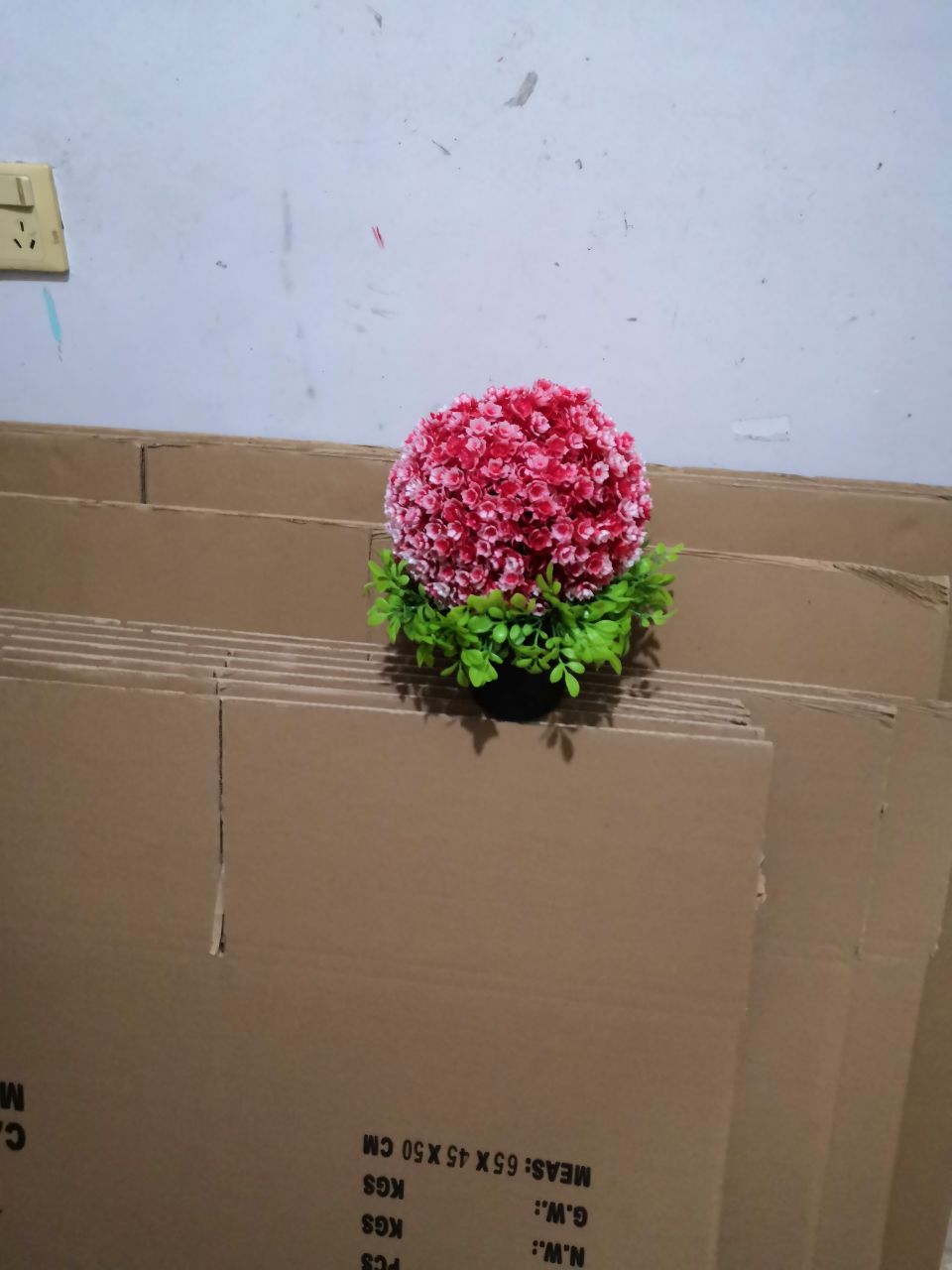 Bonsai