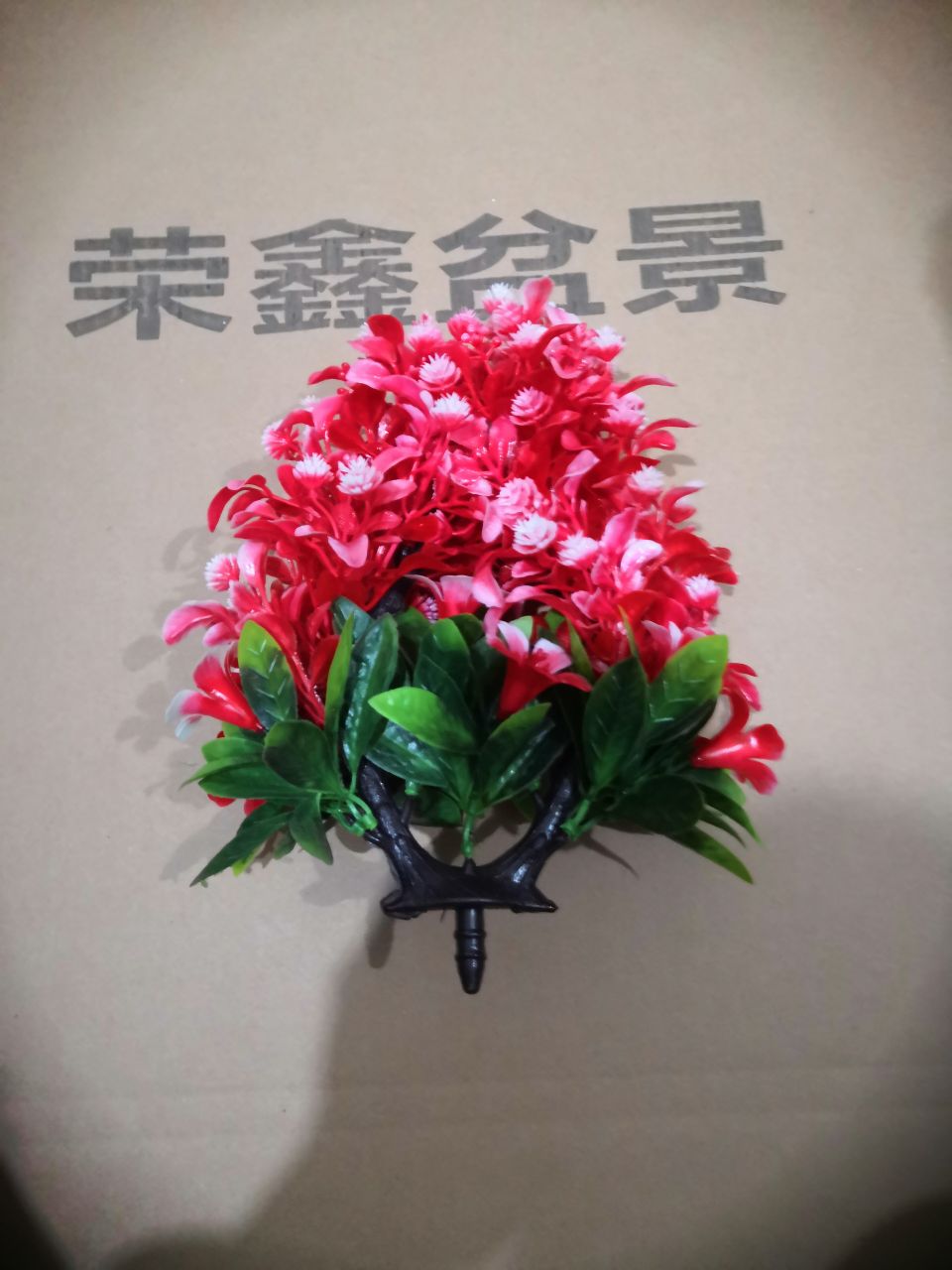 Bonsai