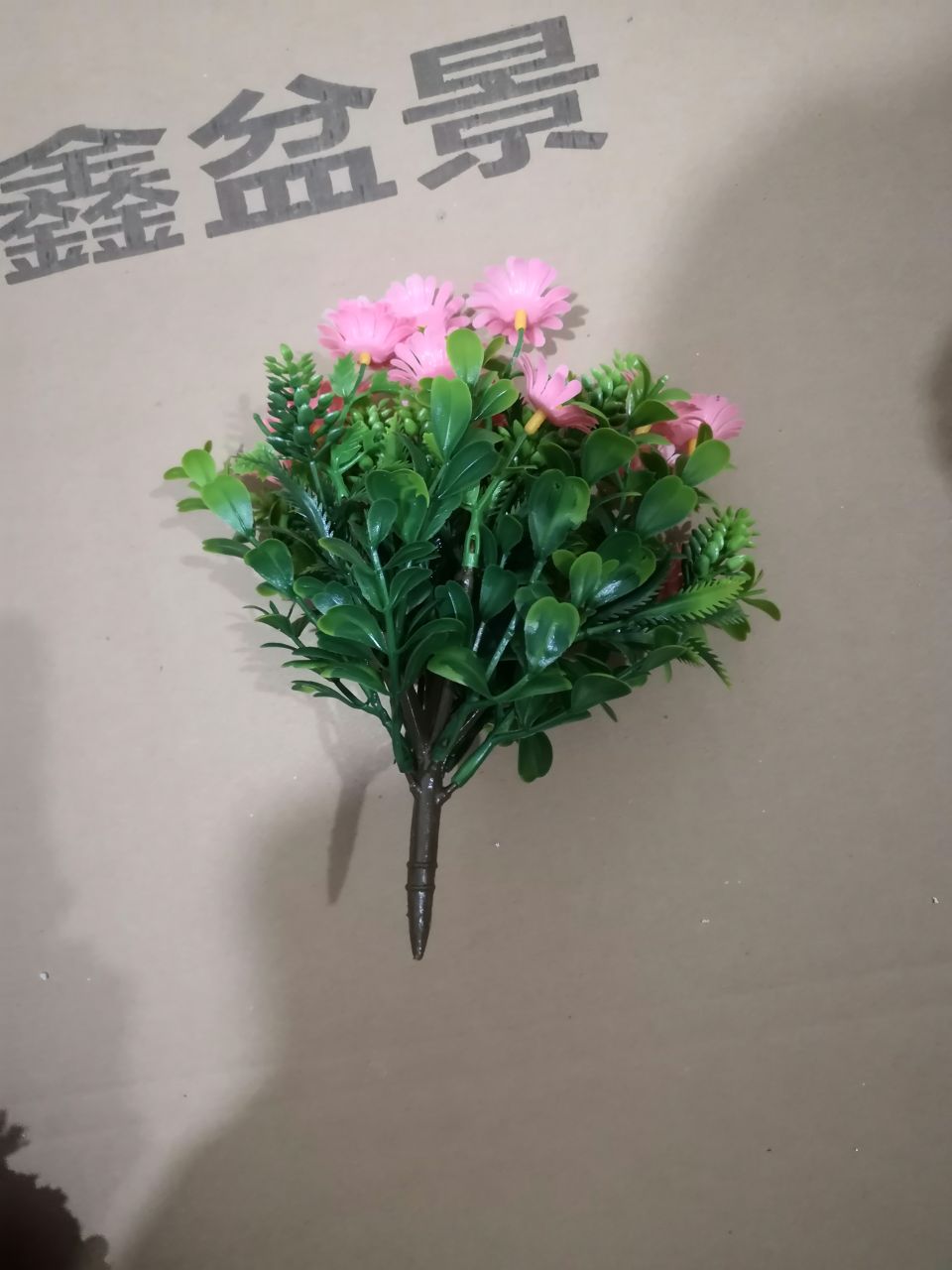 Bonsai