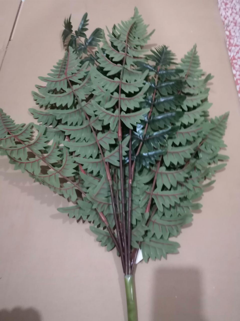 Bonsai details Picture