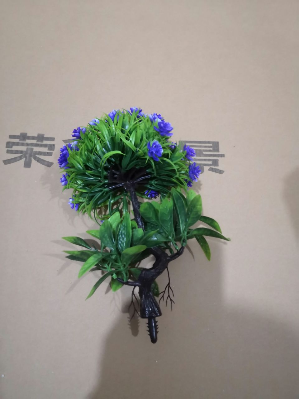 Bonsai details Picture
