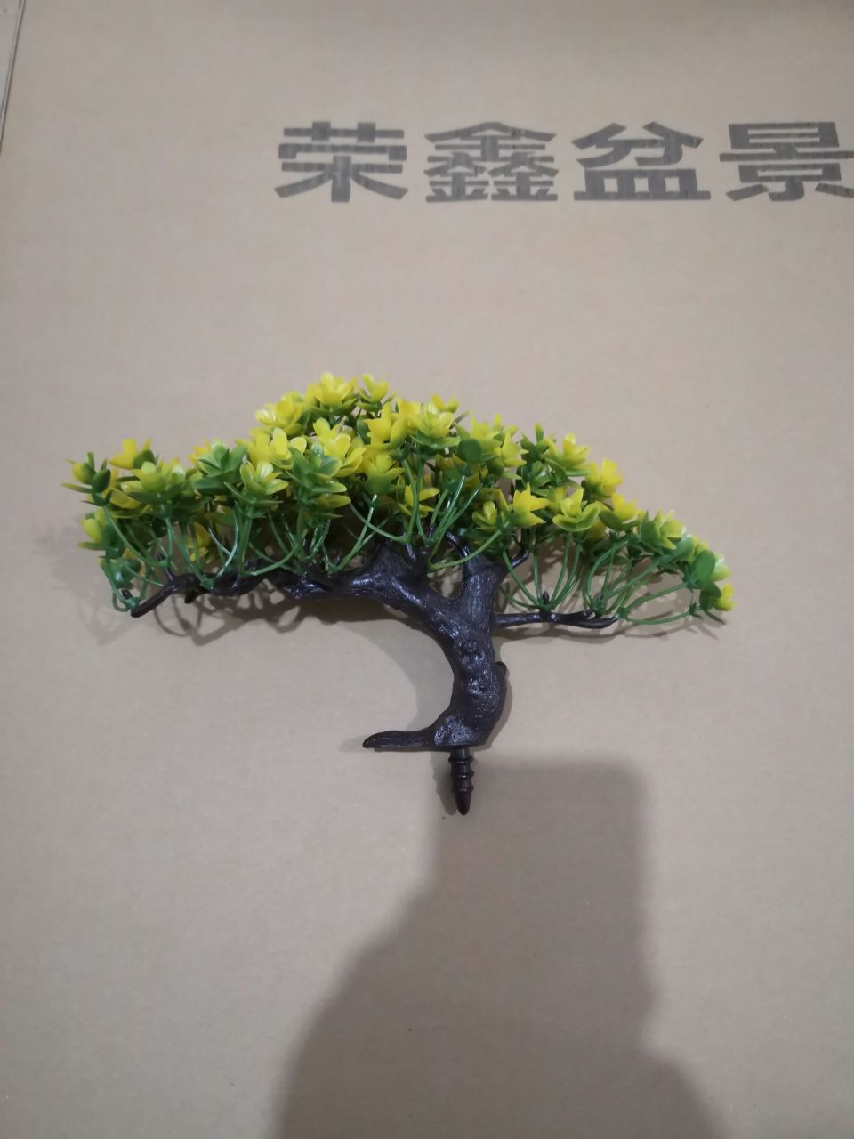 Bonsai details Picture