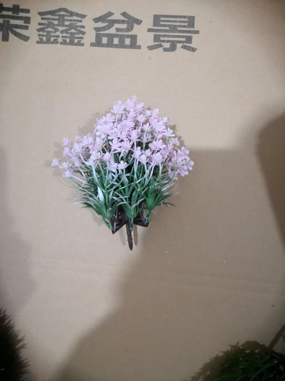 Bonsai