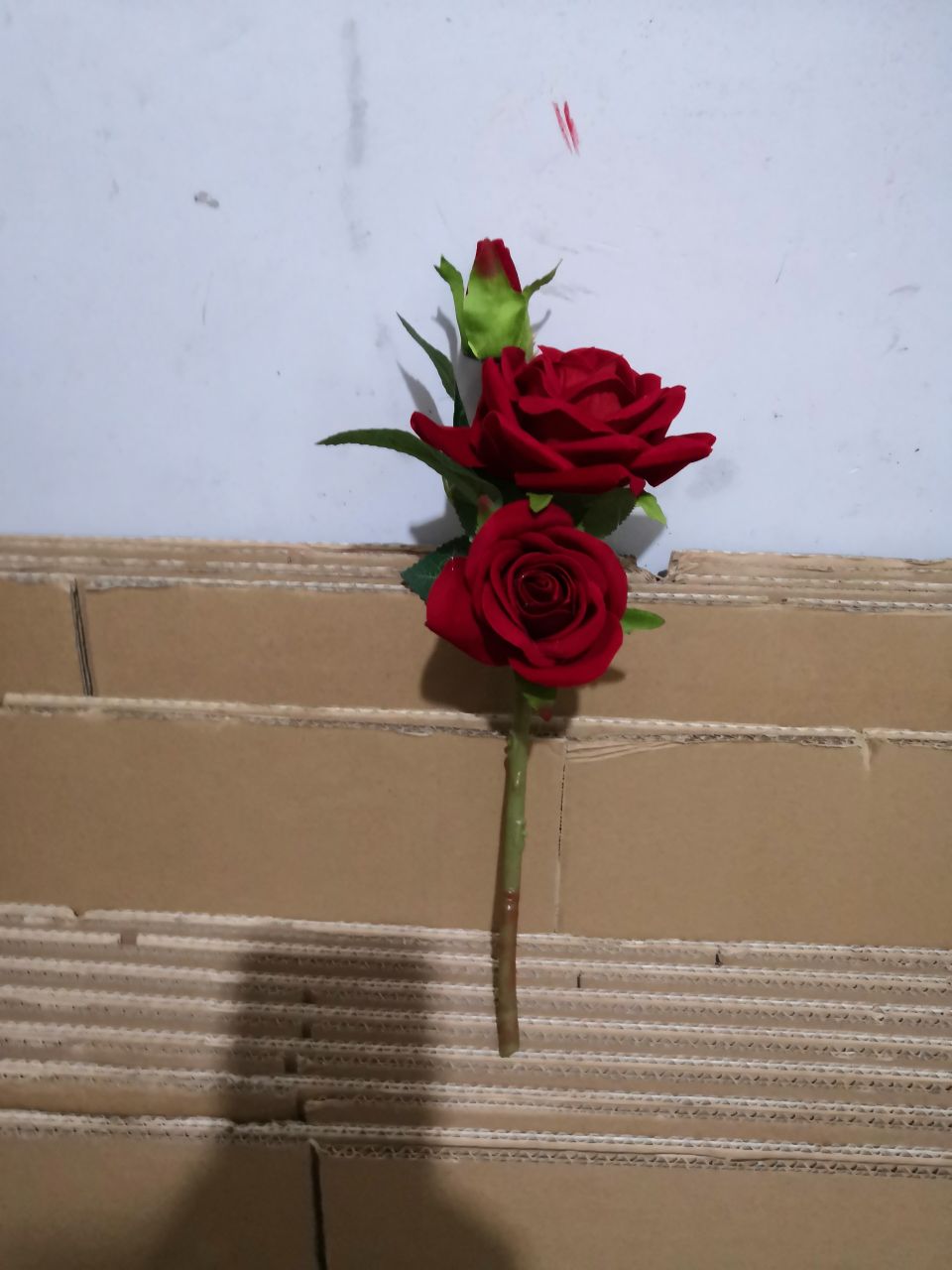 بونساي