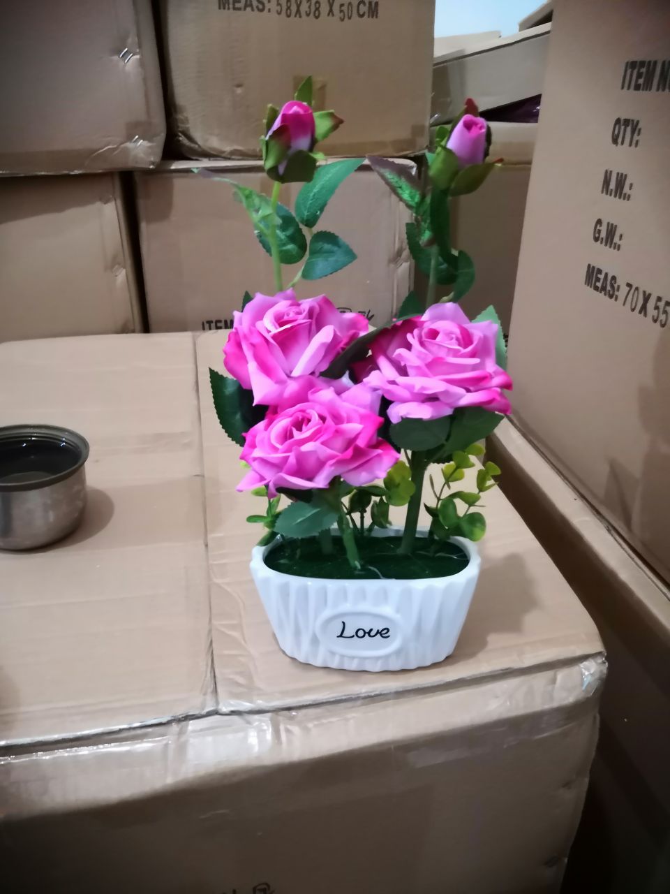 Bonsai