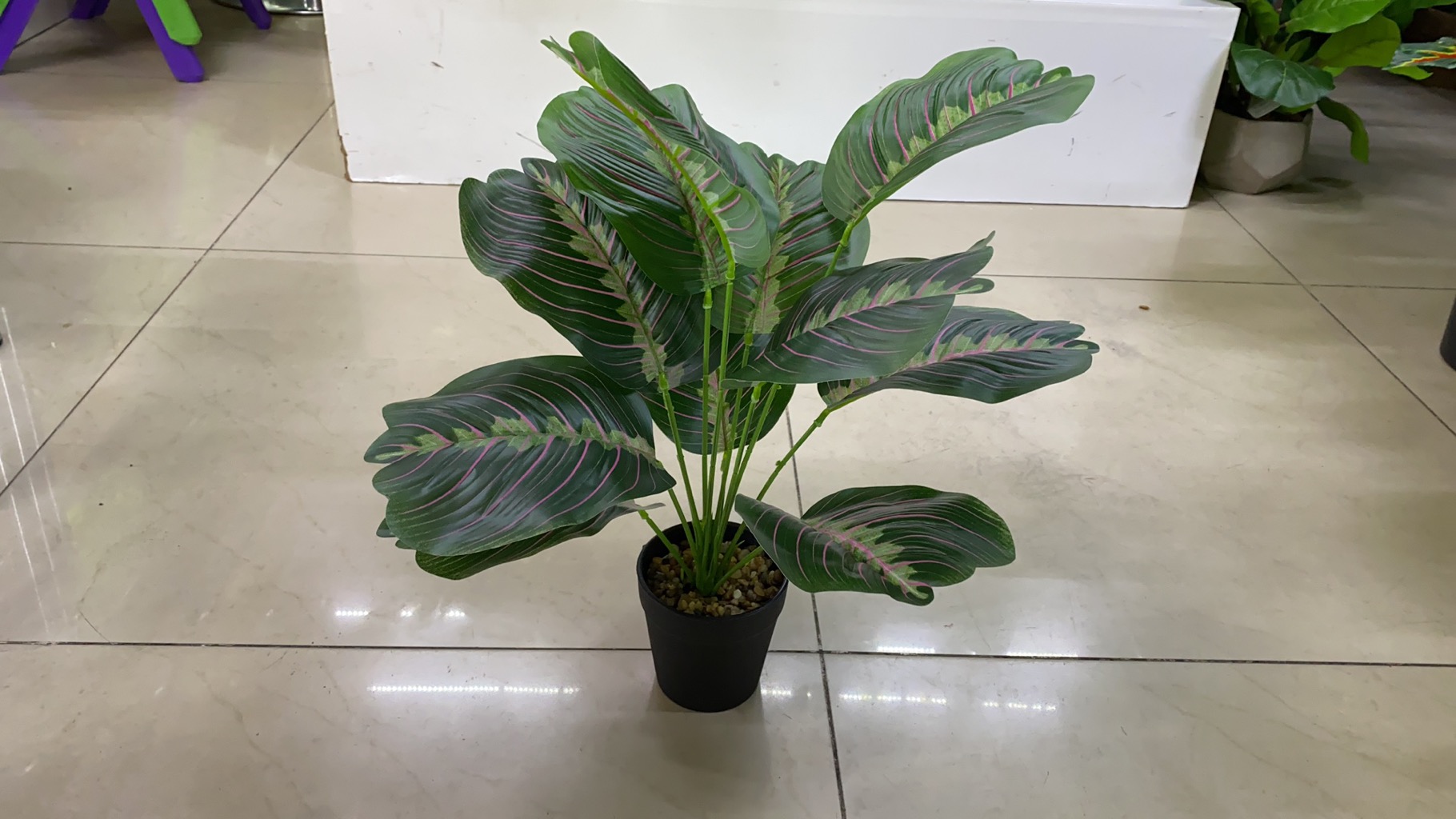 Bonsai Specification image