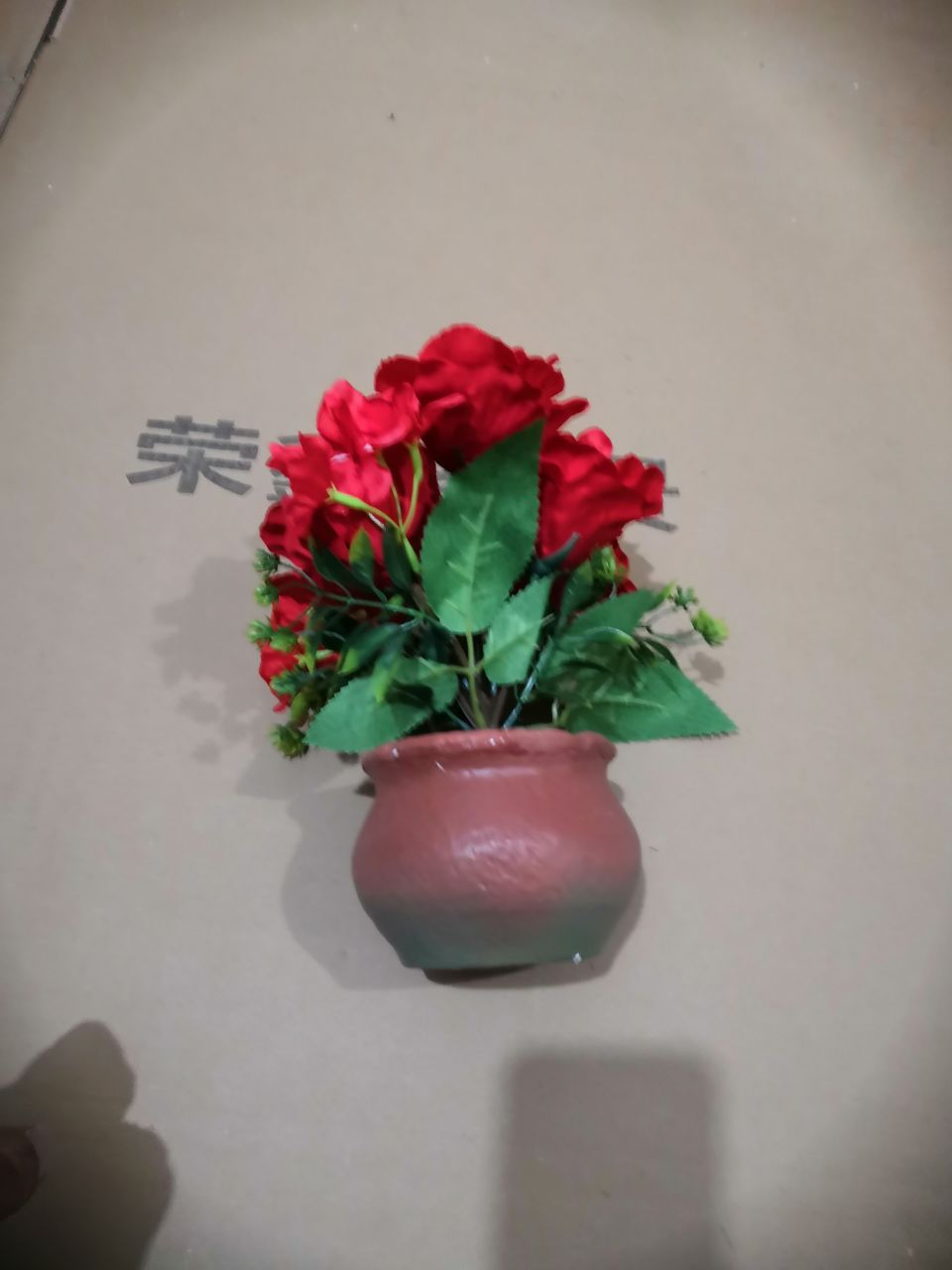 Bonsai