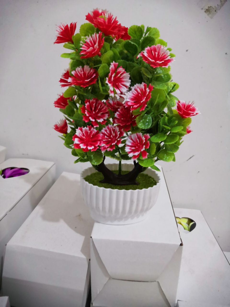 Bonsai Specification image