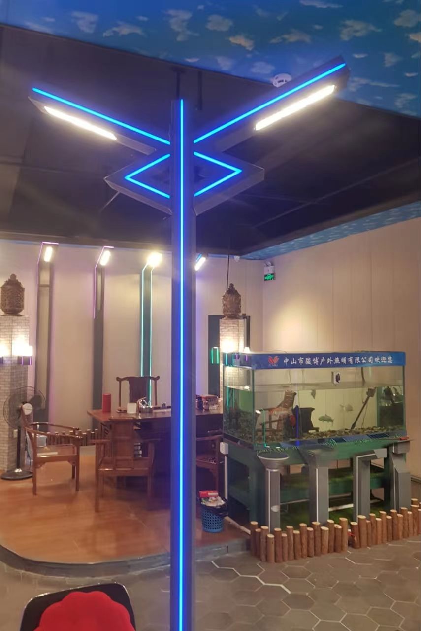 了字形铝材景观灯路灯细节图