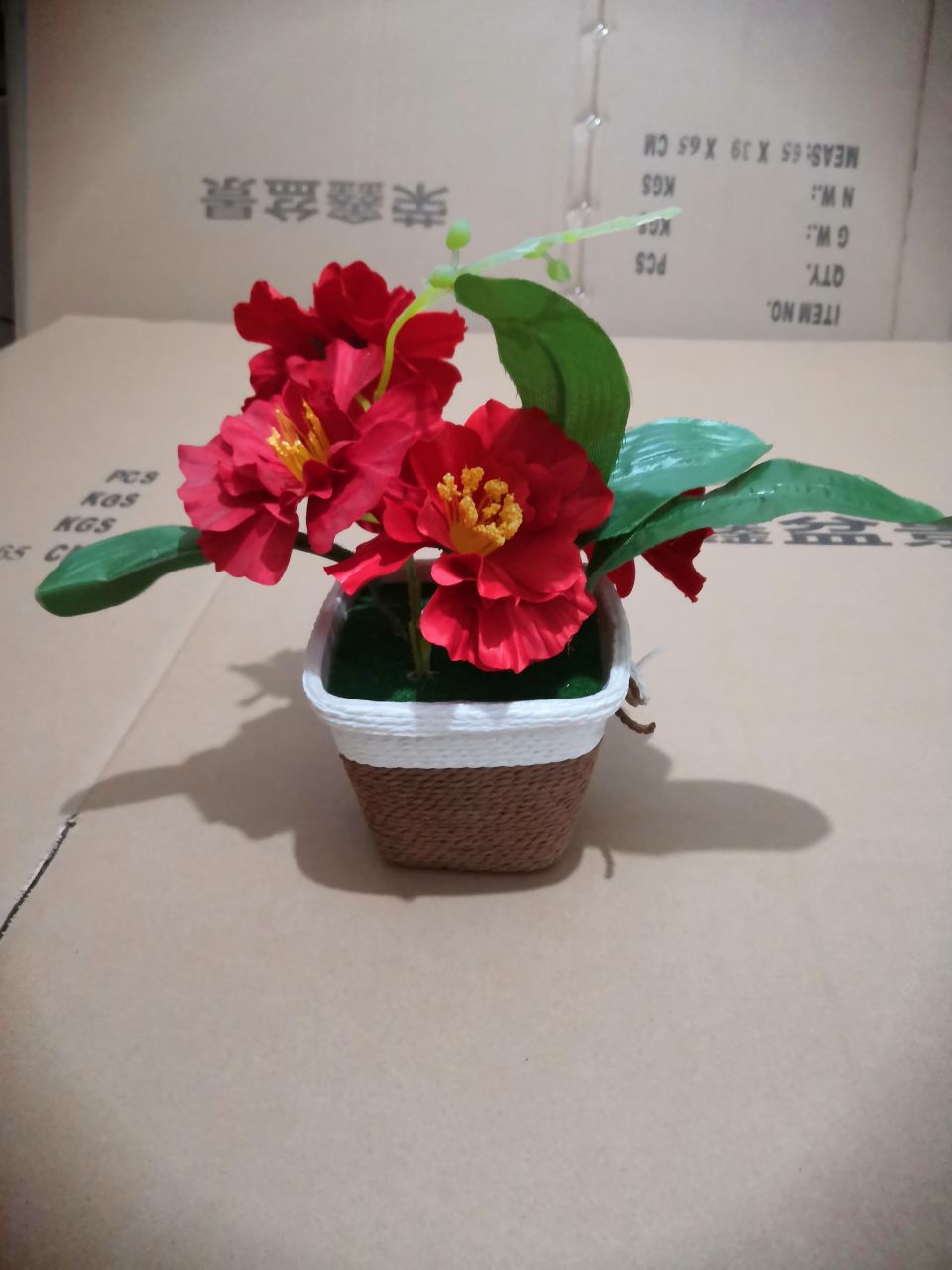 Bonsai details Picture