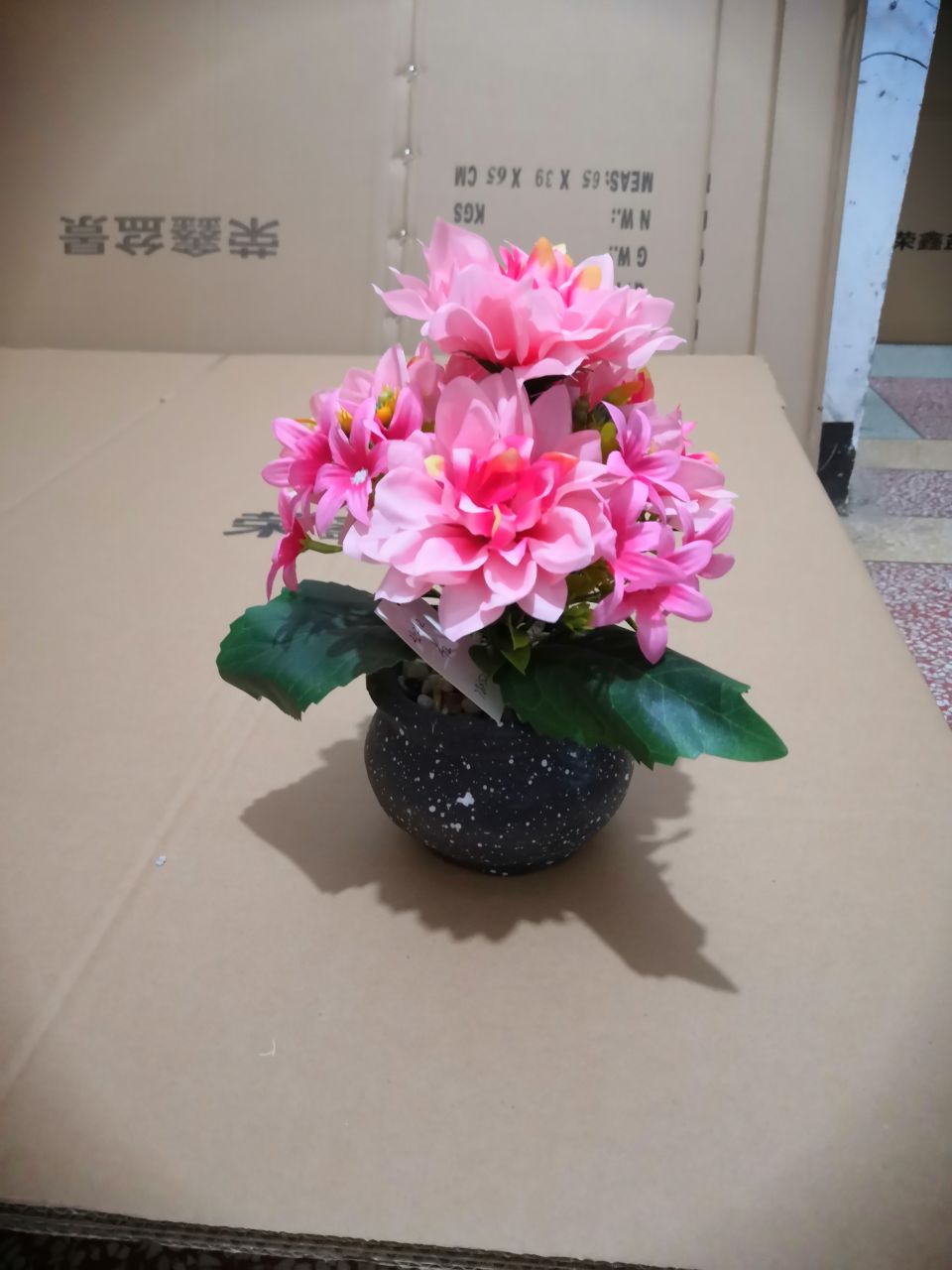 Bonsai