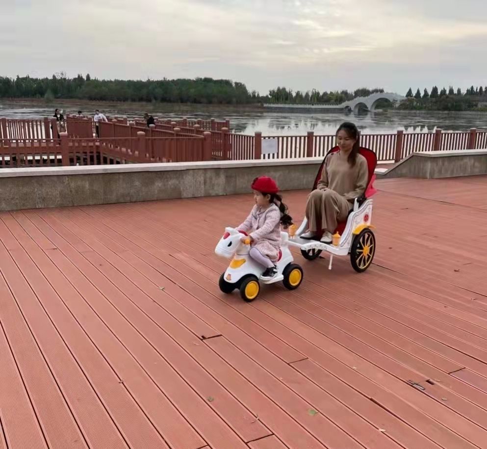Electric vehicles, scooters, electric motorcycles, skateboards, go-karts, tricycles, twist cars, baby strollers details Picture