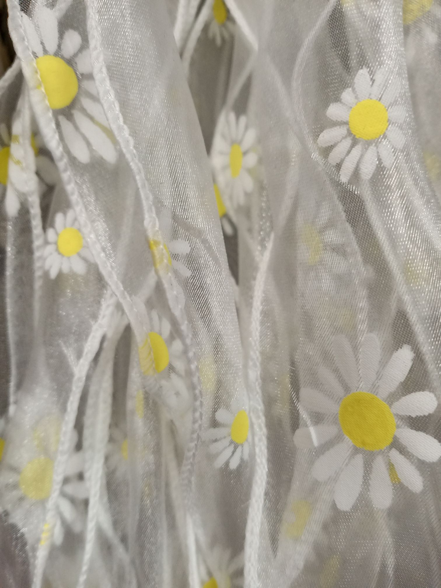 白丝带带黄色小雏菊