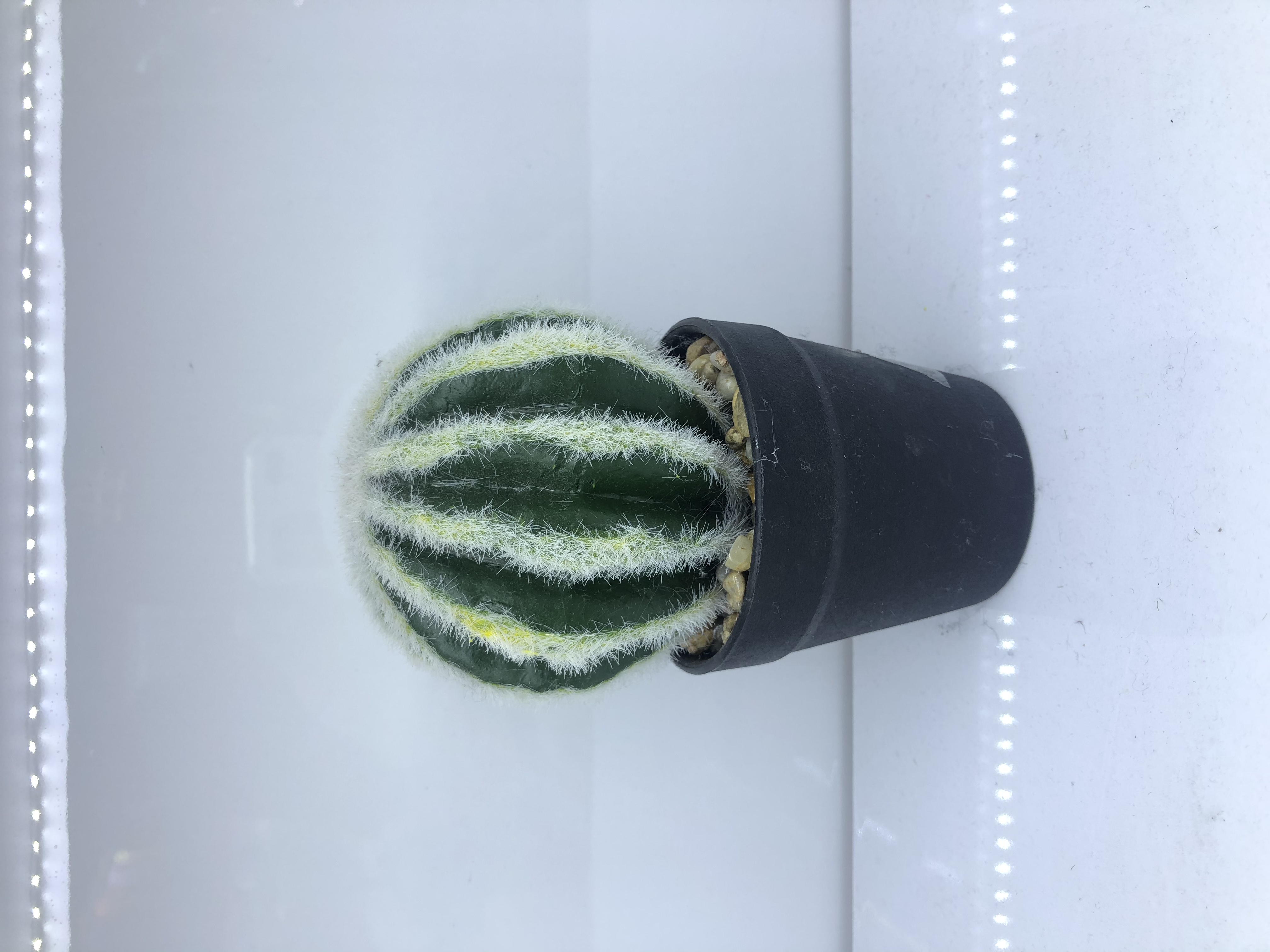 1号仙人掌仿真盆景仿真花小盆景人造摆件装饰