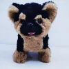 The Kebeqi brand smart electric plush toy dog robot dog can bark and move. It is an electronic pet and a fun companion for children Application Scenario