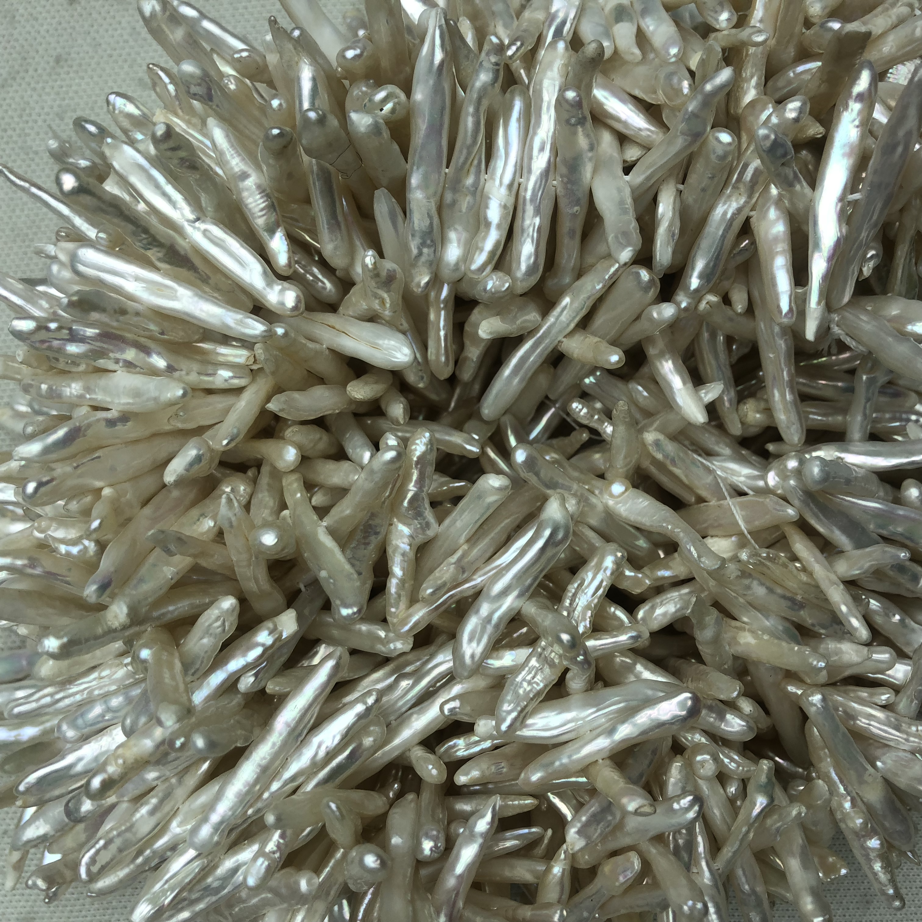 天然牙签珠细节图